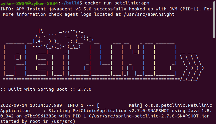 Start your application by spawning containers using the Docker image you created